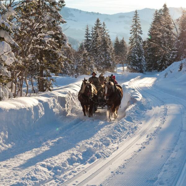 horse-drawn sleigh ride winter Maria Alm | © Hochkönig Bildbank